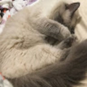 Meet your Posher, Maddy